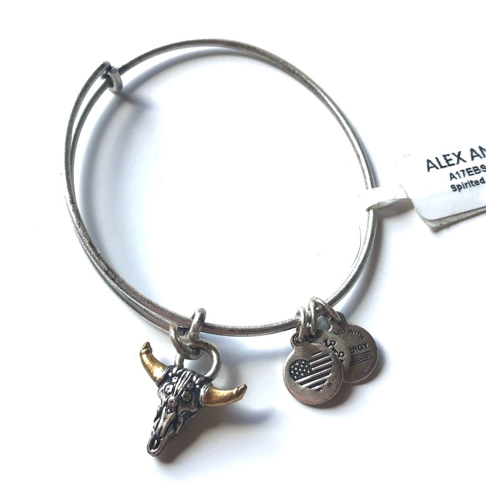 Alex and Ani Spirited Skull Charm Bangle Silver Heart USA Flag